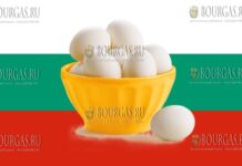 куриные яйца производства Болгарии