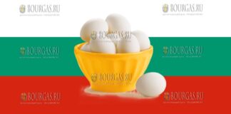 куриные яйца производства Болгарии