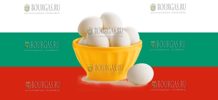 куриные яйца производства Болгарии