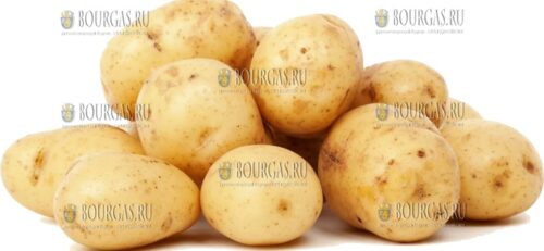молодой картофель в Болгарии
