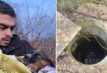Мужчина в Болгарии спас бездомную собаку