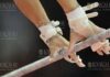 спортивная гимнастика в Болгарии