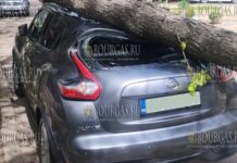 в Софии упало дерево и серьезно повредило автомобиль