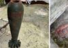 Жители сел в Болгарии обнаружили боеприпасы