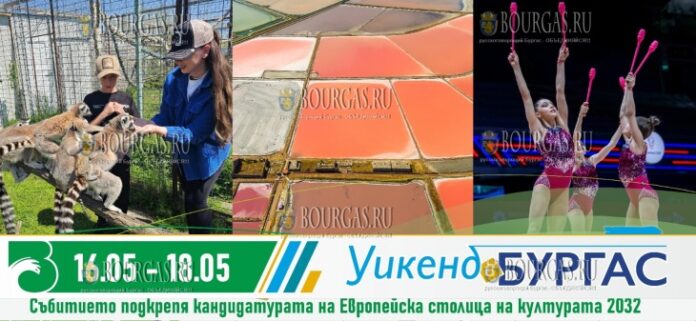 16–18 мая 2025 года в Бургасе пройдут Зеленые выходные