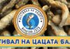 Фестиваль цацы в Балчике
