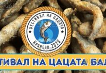 Фестиваль цацы в Балчике