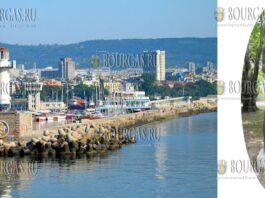 Памятник моряку установят в Варне