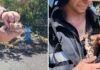 пожарные в Поморие спасли котят на пожаре