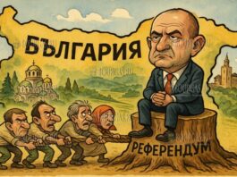 Радев и его референдум