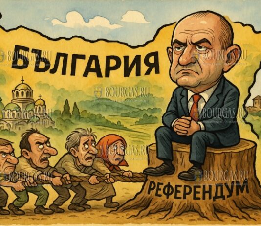 Радев и его референдум