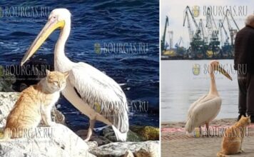 рыбаки в Варне