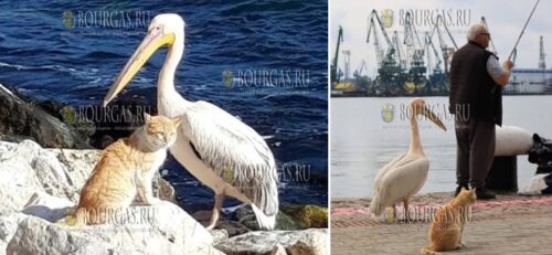рыбаки в Варне