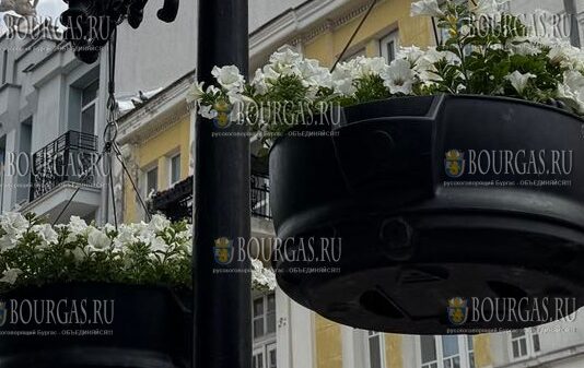 сотни цветов преобразили центральную пешеходную зону Пловдива