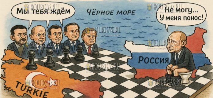 сядут ли Путин и Зеленский за стол переговоров