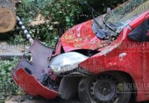 на улице в Софии упало дерево, пострадали автомобили