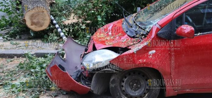 на улице в Софии упало дерево, пострадали автомобили