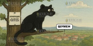 Незаконная торговля вымирающими животными в Болгарии запрещена