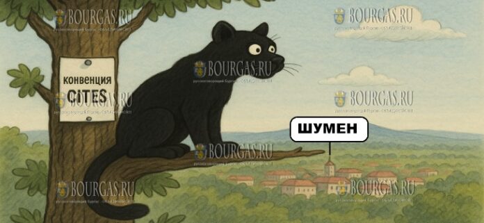 Незаконная торговля вымирающими животными в Болгарии запрещена