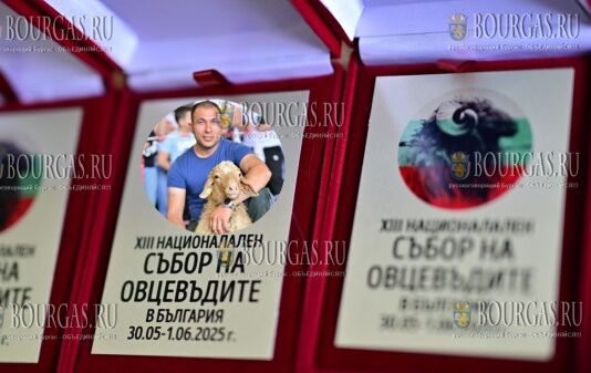 традиционный конкурс по стрижке овец ножницами прошел в Болгарии, его провели в рамках Национальной ярмарки овцеводов
