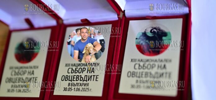 традиционный конкурс по стрижке овец ножницами прошел в Болгарии, его провели в рамках Национальной ярмарки овцеводов традиционный конкурс по стрижке овец ножницами прошел в Болгарии, его провели в рамках Национальной ярмарки овцеводов