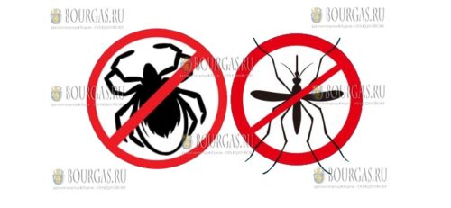 в городах Болгарии продолжается обработка от комаров и клещей