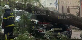 Дерево упало на автомобиль в центре Благоевграда