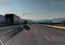 Две фуры в Болгарии запутались и выехали на встречку