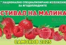 Фестиваль малины - Самоков 2025