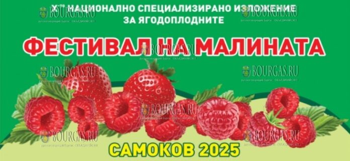 Фестиваль малины - Самоков 2025