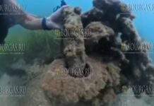 Гигантский якорь обнаружен в море недалеко от Созополя