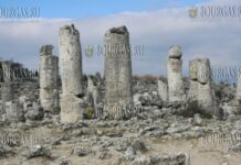Каменный лес Варны, Вбитые камни