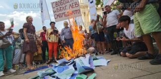 очередной протест против введения евро в Софии