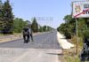 прайд черных леопрадов в районе Шумена