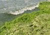 водоросли на пляжах в болгарском Причерноморье