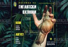 Выставка гигантских африканских улиток в Бургасе