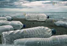 Загрязнение Черного моря в Болгарии становится серьезной экологической проблемой