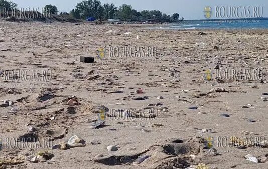 Болгарские пляжи завалены мусором