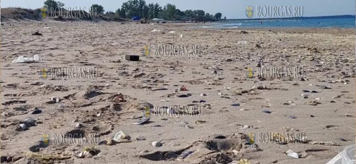 Болгарские пляжи завалены мусором