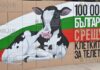 Болгары не хотят чтобы телят содержали в клетках