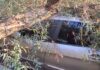 Дерево упало на автомобиль в Софии