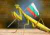 Гигантские богомолы в Пловдиве