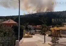горит лес в Сливнице