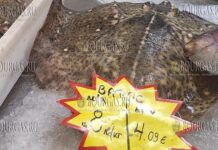на базар в Болгарии продается калкан или ватос, но цена на эту рыбу разнится