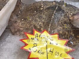 на базар в Болгарии продается калкан или ватос, но цена на эту рыбу разнится