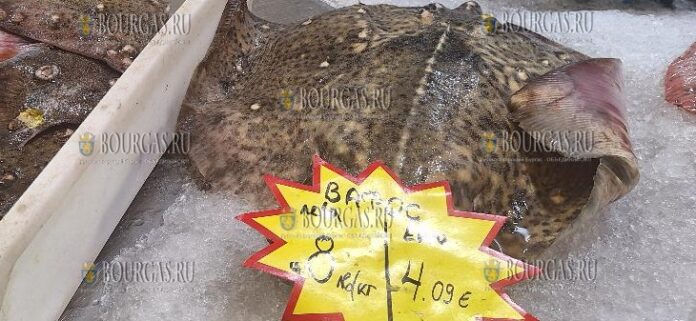на базар в Болгарии продается калкан или ватос, но цена на эту рыбу разнится