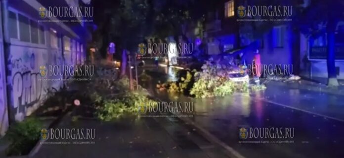 на такси в Благоевграде упало дерево