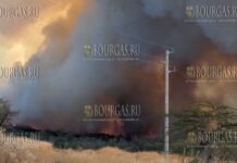 пожар в Бургасской области Болгарии