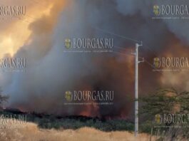 пожар в Бургасской области Болгарии