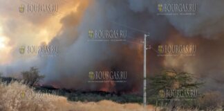 пожар в Бургасской области Болгарии